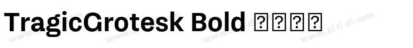 TragicGrotesk Bold 字体转换
